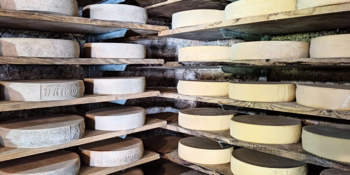 I formaggi DOP della Lombardia: guida completa da Taleggio a Grana Padano